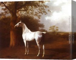 Agasse Canvas Paintings - White Horse in Pasture by Jacques-Laurent Agasse