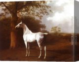 Stretched Canvas Painting