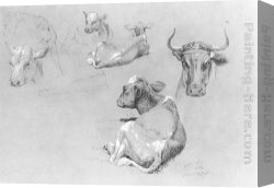 Calves Watering Canvas Paintings - Studies of Cows and Calves by James McDougal Hart