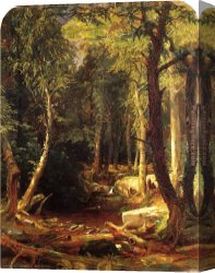 Jasper Canvas Paintings - Pool in the Woods by Jasper Francis Cropsey