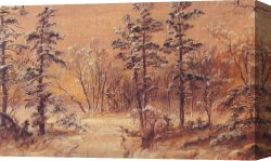 Saint Francis of Assisi Canvas Paintings - Winter Woodland by Jasper Francis Cropsey