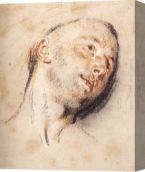 Jean-jules-antoine Canvas Paintings - Head of a Man by Jean-Antoine Watteau
