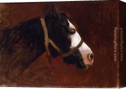 Horse Canvas Paintings - Profile of a Horse by Jean-Leon Gerome