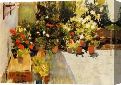 Joaquin Sorolla Y Bastida Canvas Paintings - A Rooftop with Flowers by Joaquin Sorolla y Bastida
