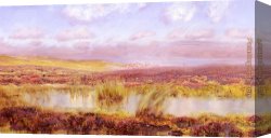 A View of The Forum Canvas Paintings - A View Of Whitby From The Moors by John Brett