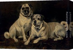 A Spaniel And a Pug Canvas Paintings - Pugs by John Emms