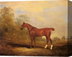Hunters Canvas Paintings - Cecil, a favorite Hunter of the Earl of Jersey in a Landscape by John Ferneley Snr