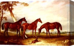 Hunters Canvas Paintings - Marvel, KingFisher And The Lad, Three Hunters Belonging To William Angerstein, In A Field With His Dog Spring by John Ferneley Snr