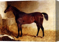 John Frederick Herring, Jnr Canvas Paintings - Flexible, A Chestnut Racehorse In A Loose Box by John Frederick Herring, Jnr