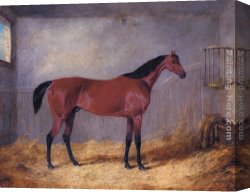 John Frederick Herring, Jnr Canvas Paintings - The Duke Of Grafton's Bolivar In A Stable by John Frederick Herring, Jnr