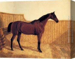 John Frederick Herring, Jnr Canvas Paintings - A Bay Hunter In A Loose-Box by John Frederick Herring Snr