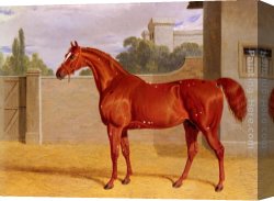 John Frederick Herring, Jnr Canvas Paintings - A Chestnut Racehorse in a Stable Yard by John Frederick Herring Snr