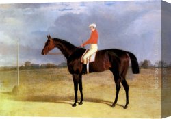 John Frederick Herring, Jnr Canvas Paintings - A Dark Bay Racehorse with Patrick Connolly Up by John Frederick Herring Snr