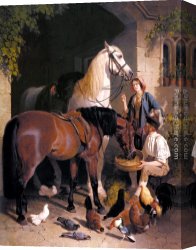 Feeding The Pigeons Canvas Paintings - Feeding the Arab by John Frederick Herring Snr