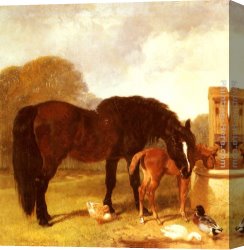 John Frederick Herring, Jnr Canvas Paintings - Horse and Foal watering at a trough by John Frederick Herring Snr