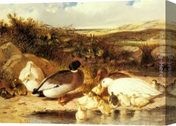 Mallard Canvas Paintings - Mallard Ducks and Ducklings on a River Bank by John Frederick Herring Snr