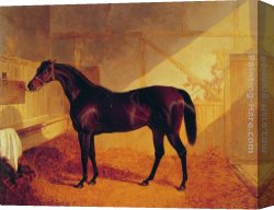 John Frederick Herring, Jnr Canvas Paintings - Mr Johnstone's Charles XII in a Stable by John Frederick Herring Snr