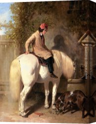John Frederick Herring, Jnr Canvas Paintings - Refreshment, A Boy Watering His Grey Pony by John Frederick Herring Snr