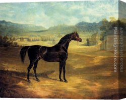 John Frederick Herring, Jnr Canvas Paintings - The Bay Stallion Jack Spigot by John Frederick Herring Snr