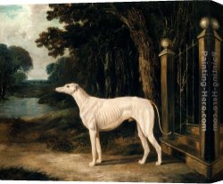 John Frederick Herring, Jnr Canvas Paintings - Vandeau, A White Greyhound by John Frederick Herring Snr
