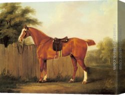 Fence Canvas Paintings - A Chestnut Hunter Tethered to a Fence by John Nost Sartorius