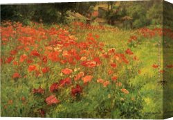 John Canvas Paintings - In Poppyland by John Ottis Adams