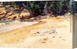 Head Canvas Paintings - Sand Beach Schooner Head Maine by John Singer Sargent