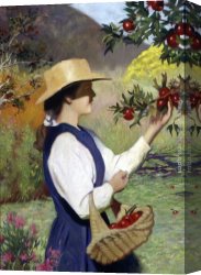 Orchard Canvas Paintings - Mountain Orchard by Kirk Richards