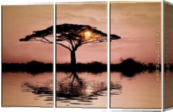 Landscape Canvas Paintings - AFRICAN SUNSET by landscape