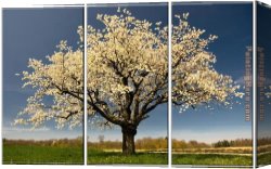 Landscape with a Lake Canvas Paintings - Blossom by landscape