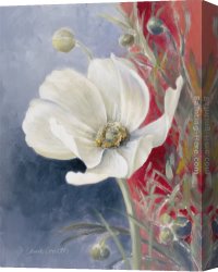 Lanie Loreth Canvas Paintings - White Anemone II by Lanie Loreth