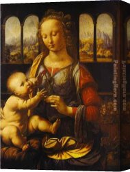 Madonna of St. Jerome Canvas Paintings - Madonna With The Carnation by Leonardo da Vinci