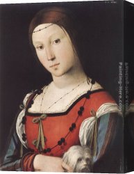 Lorenzo Costa Canvas Paintings - Portrait of a Lady with a Lap-dog by Lorenzo Costa