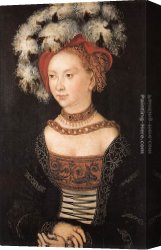 Luca Canvas Paintings - Portrait of a Young Woman by Lucas Cranach the Elder