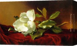 Red Circles II Canvas Paintings - A Magnolia on Red Velvet by Martin Johnson Heade