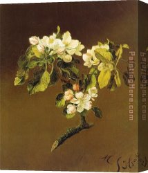 Apple Canvas Paintings - A Spray of Apple Blossoms 1870 by Martin Johnson Heade