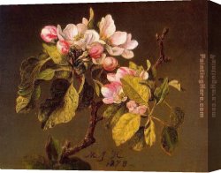Apple Canvas Paintings - Apple Blossoms by Martin Johnson Heade