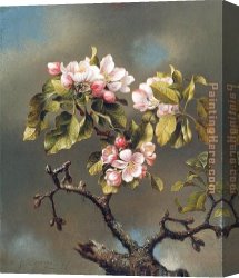 Those Blossoms You Gave So Freely 1 Canvas Paintings - Branch of Apple Blossoms against a Cloudy Sky by Martin Johnson Heade