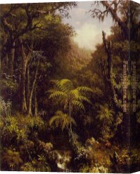 Martin Johnson Heade Canvas Paintings - Brazilian Forest by Martin Johnson Heade