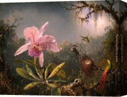 Martin Johnson Heade Canvas Paintings - Cattleya Orchid and Three Brazilian Hummingbirds by Martin Johnson Heade