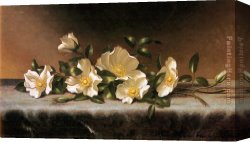 Roses Canvas Paintings - Cherokee Roses On A Light Gray Cloth by Martin Johnson Heade