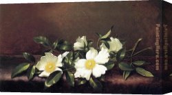 Cherokee Roses on a Light Gray Cloth Canvas Paintings - Cherokee Roses on a Purple Velvet Cloth by Martin Johnson Heade