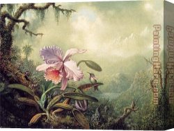 Orchids Canvas Paintings - Heliodore's Woodstar and a Pink Orchid by Martin Johnson Heade