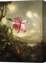 Breaking Canvas Paintings - Hummingbird and Orchid, Sun Breaking Through the Clouds by Martin Johnson Heade