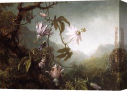 Passion Canvas Paintings - Hummingbird Perched near Passion Flowers by Martin Johnson Heade