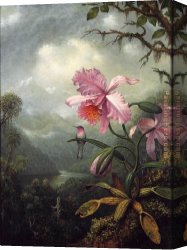 Orchids Canvas Paintings - Hummingbird Perched on an Orchid Plant by Martin Johnson Heade