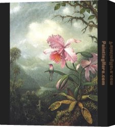 Orchids Canvas Paintings - Hummingbird Perched on an Orchid Plat by Martin Johnson Heade