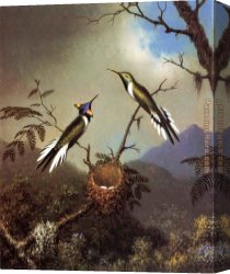 Nest Canvas Paintings - Hummingbirds at Their Nest - Sun Gems by Martin Johnson Heade