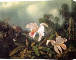 Martin Johnson Heade Canvas Paintings - Jungle Orchids and Hummingbirds by Martin Johnson Heade