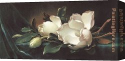 Those Blossoms You Gave So Freely 1 Canvas Paintings - Magnolia Blossoms on Blue Velvet by Martin Johnson Heade